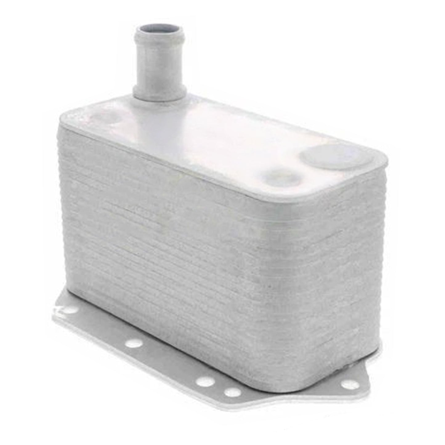 Radiatore olio motore 11427788462 per BMW Serie 3 5 6 7 X3 X5 X6