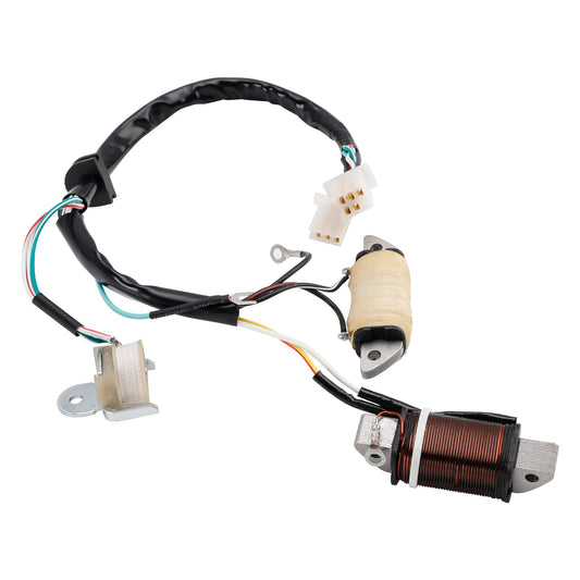 Bobina di ricarica e bobina di illuminazione Town Mate Yamaha T80ED 1987/1992/1993 2MK-85560-M0 2ML-85560-M0