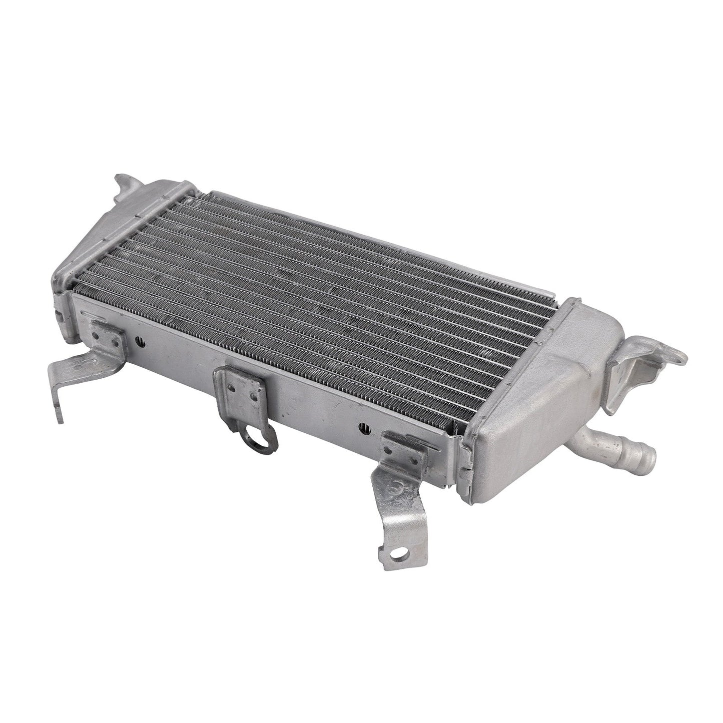 Raffreddamento del radiatore per BMW S1000R 2021-2025