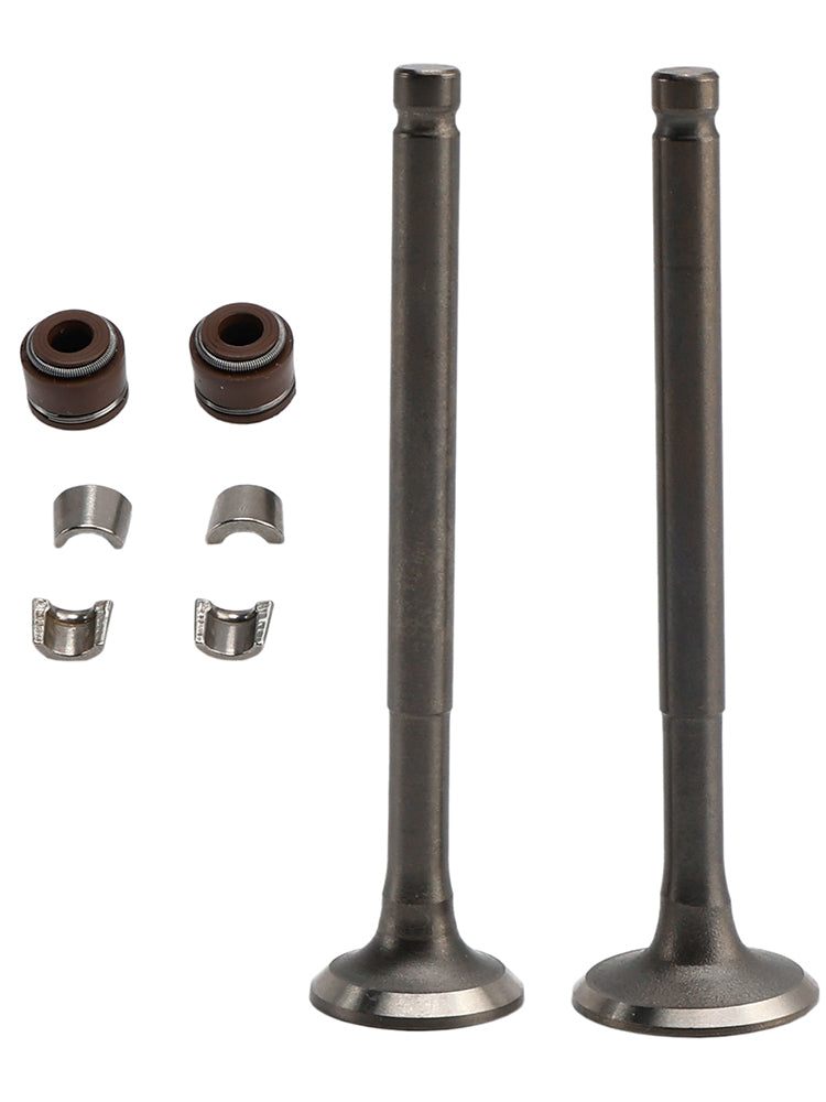Kit valvole di aspirazione e scarico da 69 mm per ciclomotore GY6 139QMB 50cc 80cc Sunl Baja Taotao
