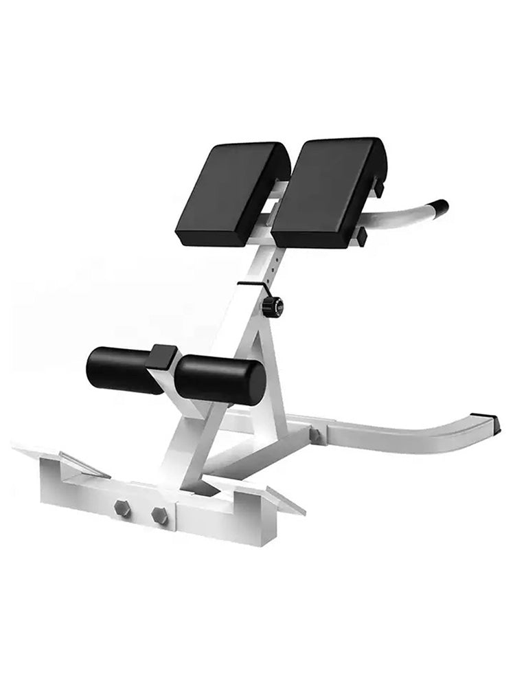 Attrezzatura di fitness versatile Regolabile Roman Chair Back Extension Exercise Bench Back Training Supine Board