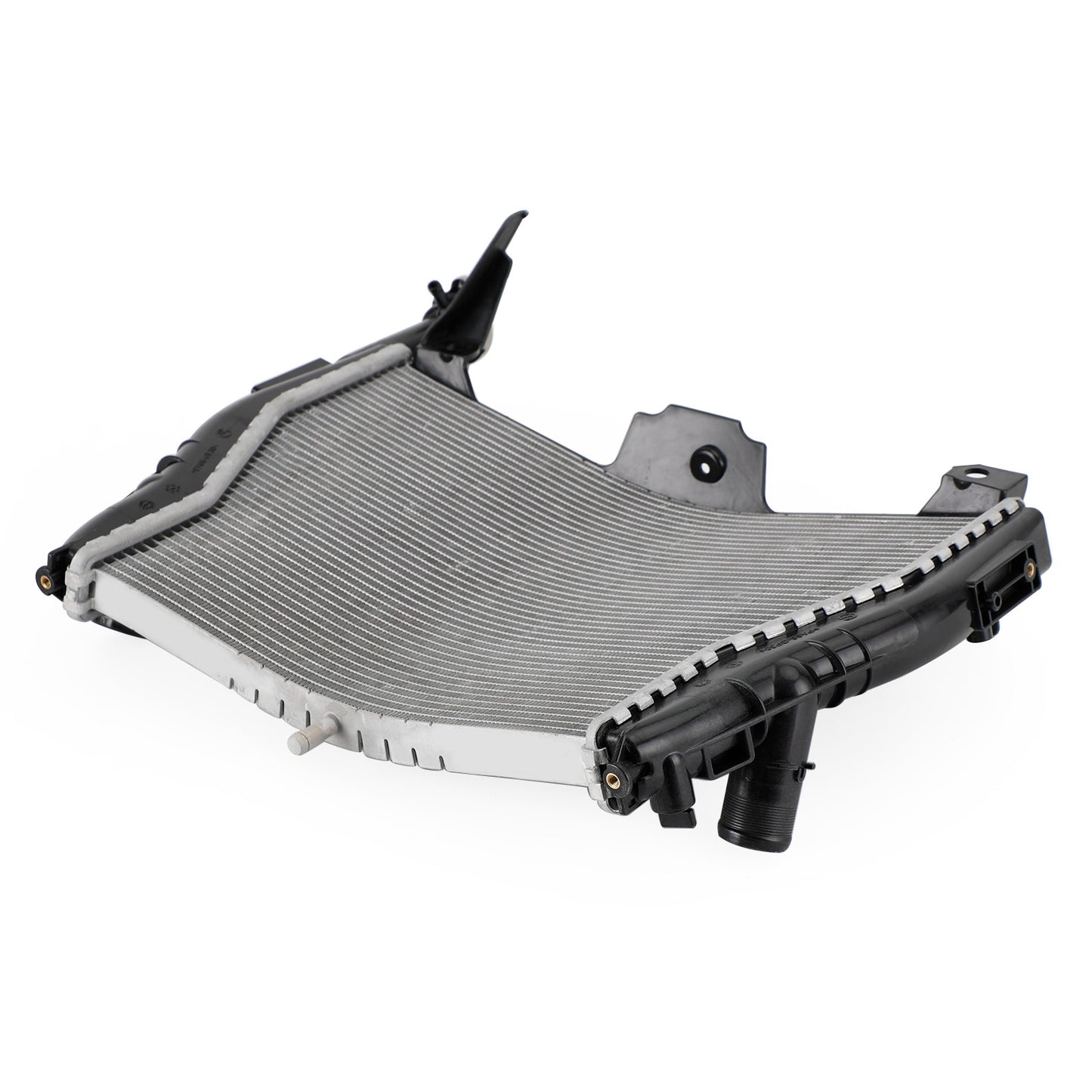 Raffreddamento del radiatore del radiatore del motore BMW S1000RR 2009-2018