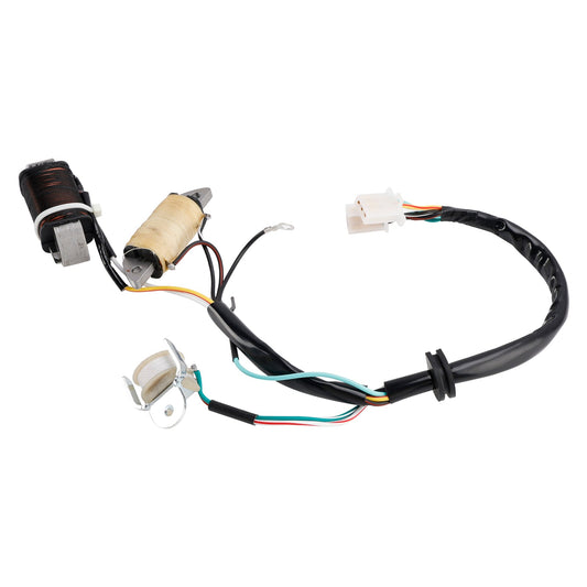 Bobina di ricarica e bobina di illuminazione Town Mate Yamaha T80D 1987/1992/1993 2MK-85560-M0 2ML-85560-M0