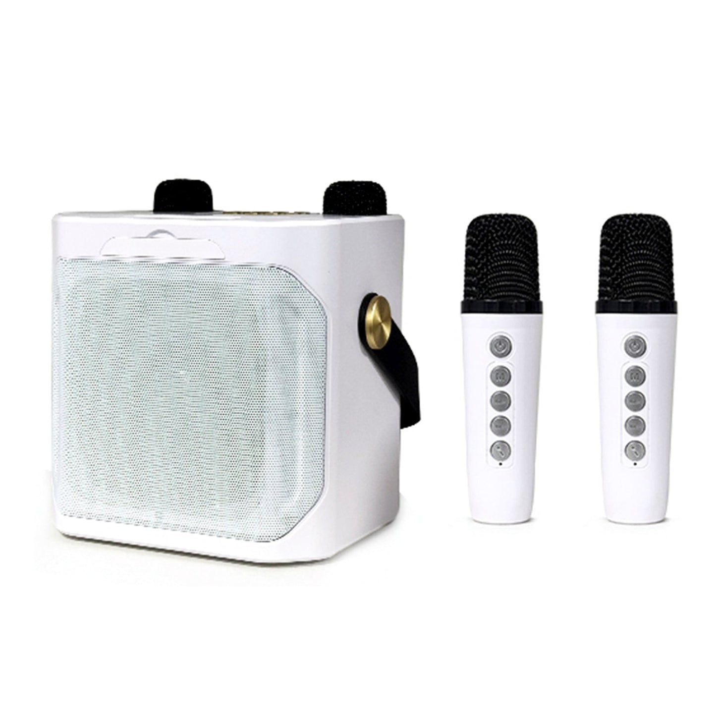 Altoparlante Bluetooth wireless con doppio microfono, altoparlante portatile per karaoke domestico