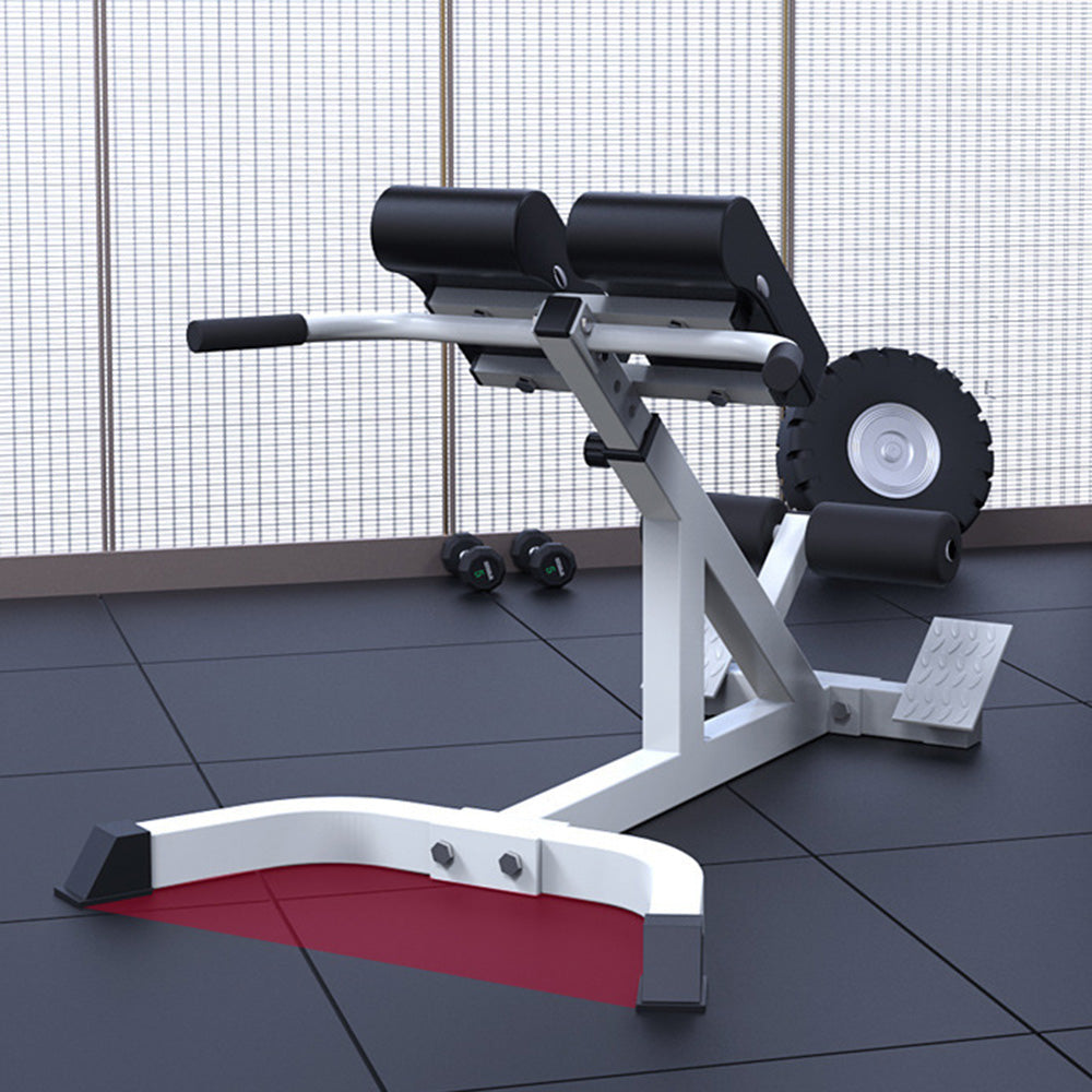 Portando il peso massimo 300 libbre Regolabile Roman Chair Back Extension Exercise Bench Back Training Supine Board