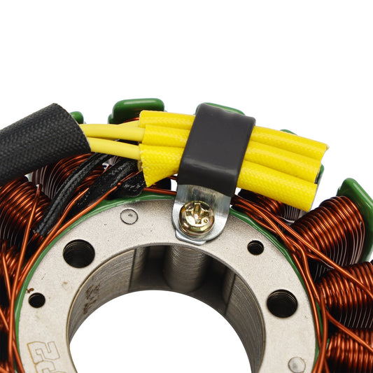 Statore e regolatore alternatore con guarnizione per Bajaj Pulsar Rs200 BS4 BS6 17-2023