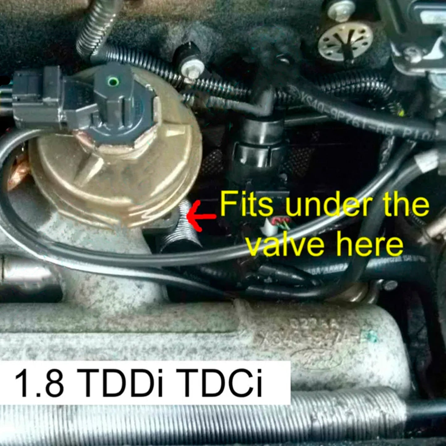 Piastra cieca valvola EGR per Ford Euro 3 Transit Connect Focus Mondeo 1.8 TDDI TDCi