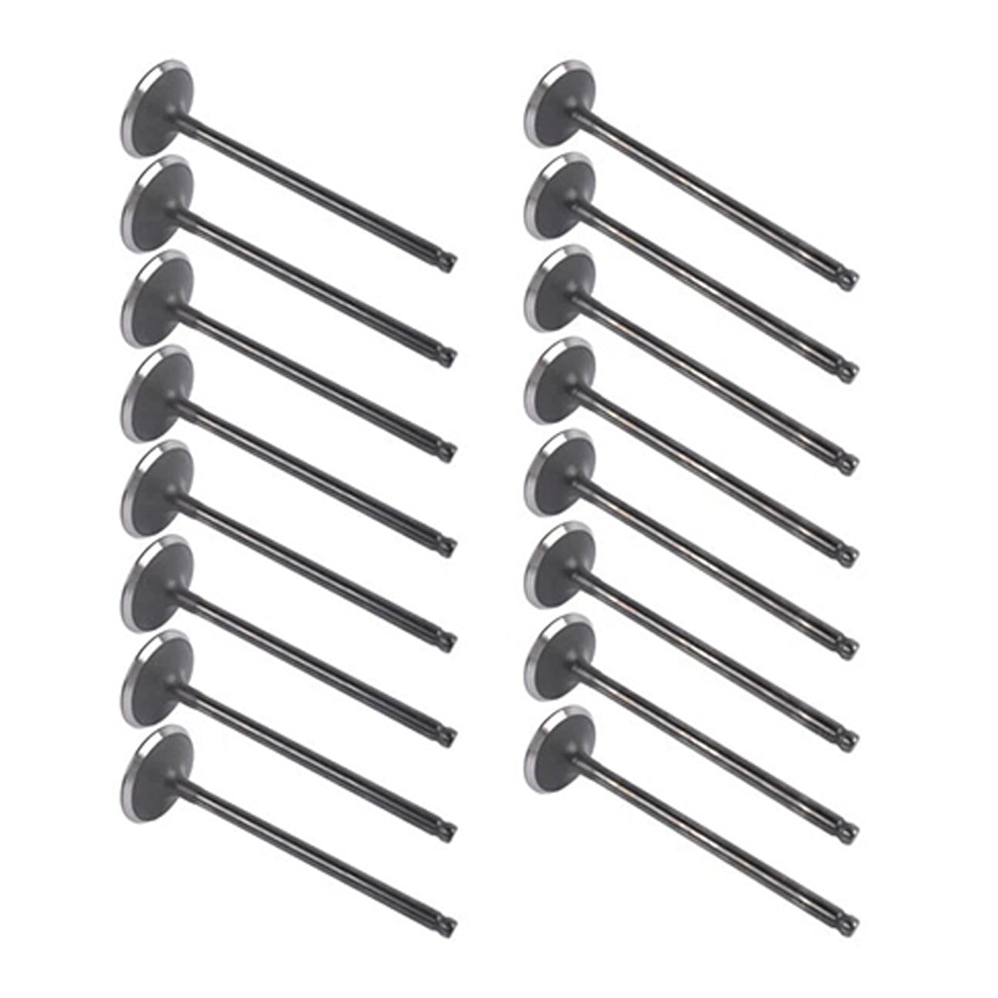 Kit valvola di aspirazione e scarico Toyota Scion L4 1.8L DOHC 2ZR-FE 16 pezzi 2008-2015