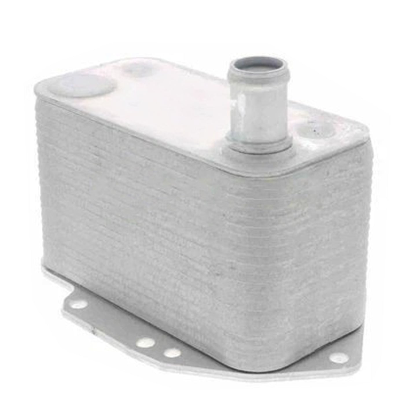 Radiatore olio motore 11427788462 per BMW Serie 3 5 6 7 X3 X5 X6