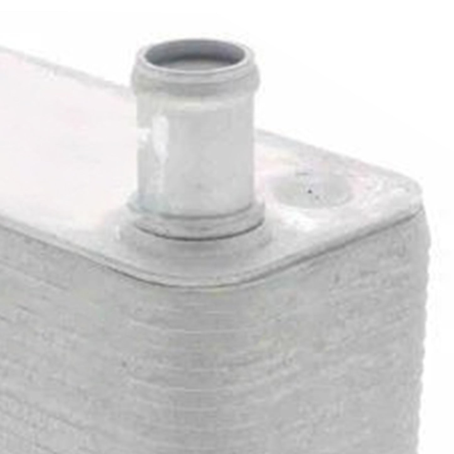 Radiatore olio motore 11427788462 per BMW Serie 3 5 6 7 X3 X5 X6