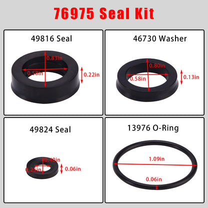 Kit Di Guarnizioni 76975 Da 12 Pezzi Per Cat Pompe 4DNX 4DNX25GSI E 4DNX27GSI