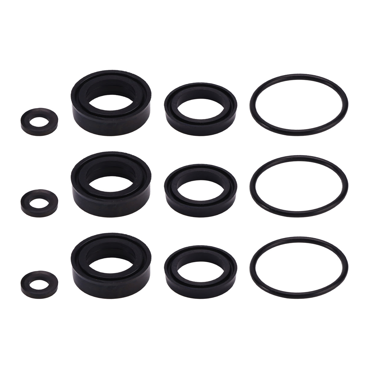 Kit Di Guarnizioni 76975 Da 12 Pezzi Per Cat Pompe 4DNX 4DNX25GSI E 4DNX27GSI