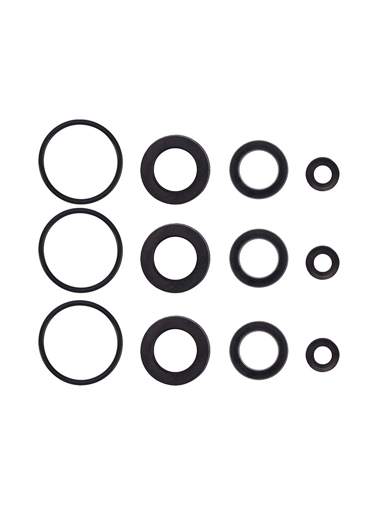 Kit Di Guarnizioni 76975 Da 12 Pezzi Per Cat Pompe 4DNX 4DNX25GSI E 4DNX27GSI