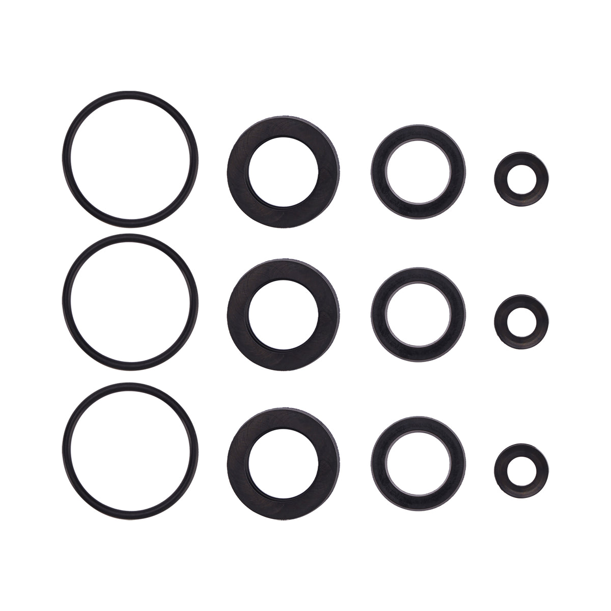 Kit Di Guarnizioni 76975 Da 12 Pezzi Per Cat Pompe 4DNX 4DNX25GSI E 4DNX27GSI