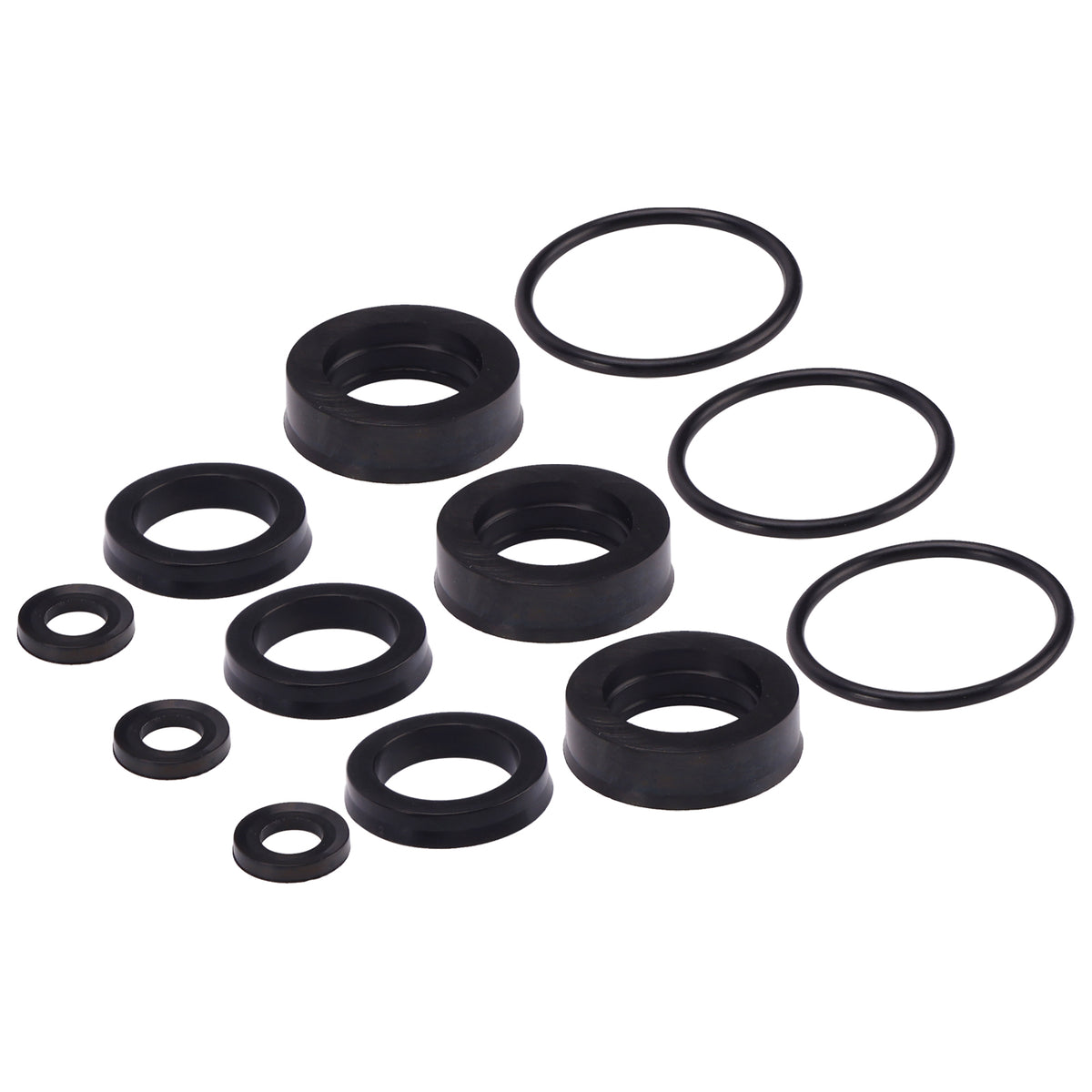 Kit Di Guarnizioni 76975 Da 12 Pezzi Per Cat Pompe 4DNX 4DNX25GSI E 4DNX27GSI