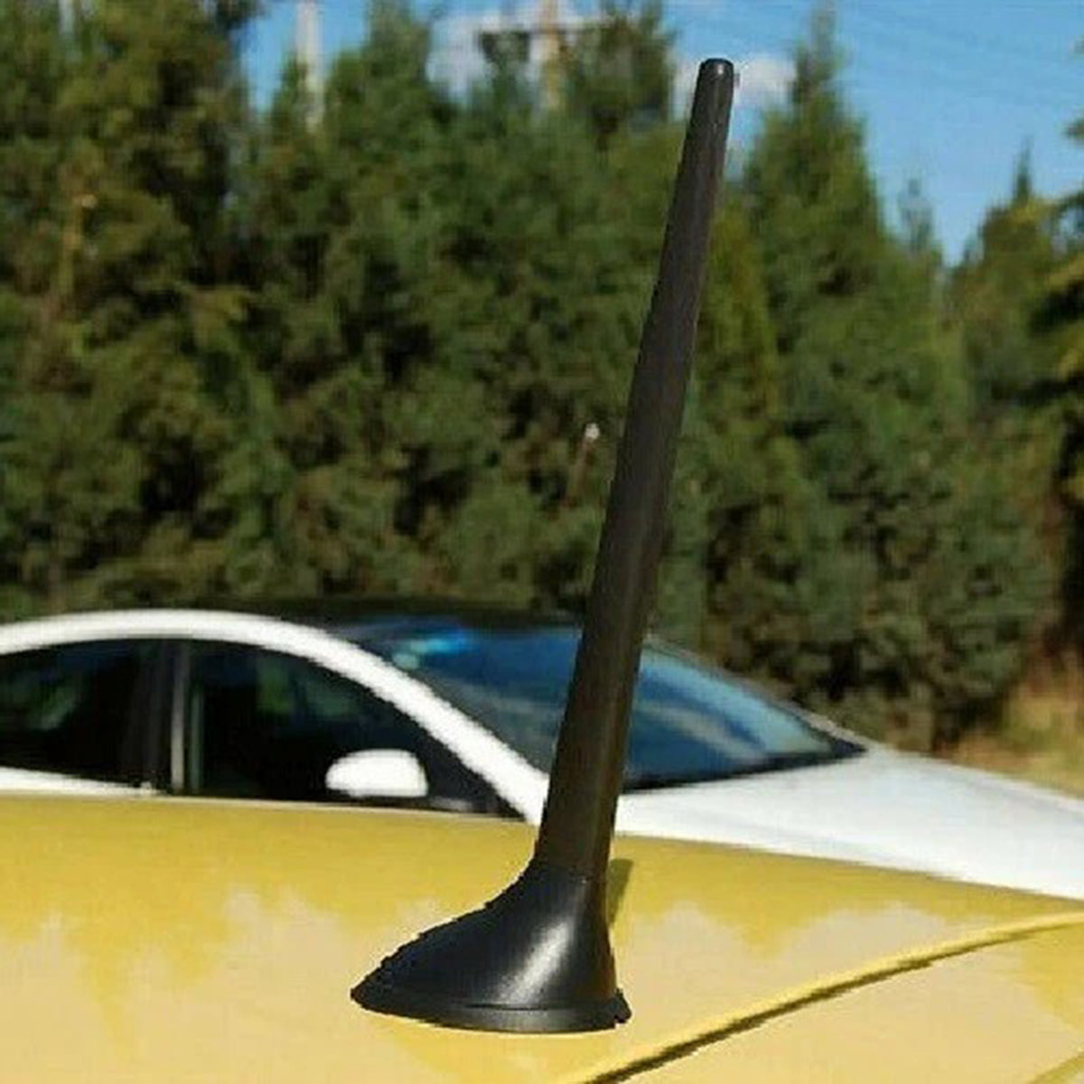 Base Antenna FM/AM Radio 50540987 Per Fiat 500 2012-2021