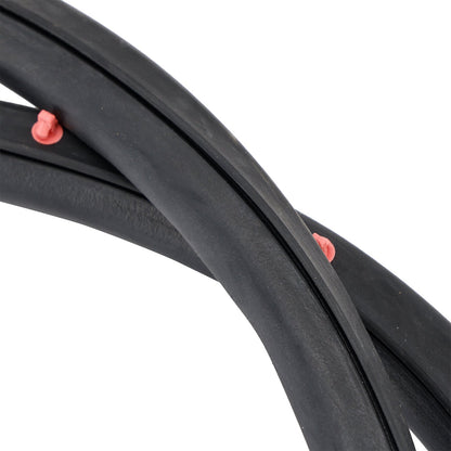 2× Guarnizione porta anteriore destra e sinistra 72310S6M003 per Honda Integra Acura RSX DC5 2002-2006