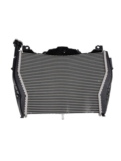 Radiatore di raffreddamento del motore in alluminio BMW S1000R 2015-2018