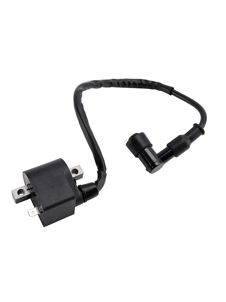 Scatola CDI Accensione adatta per Suzuki TS50 TS50X 1991/1993-1995 LT50 1990/1999-2005