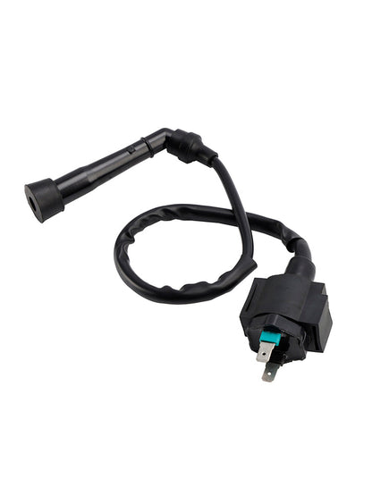 Scatola CDI Accensione adatta per Honda CA125 Rebel SMC Barossa RAM 300 CAPTAIN 300
