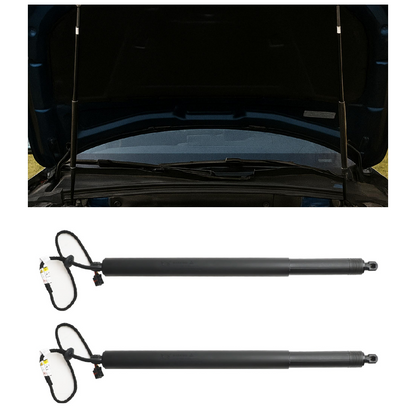 Per LAND ROVER DISCOVERY SPORT L550 2015-2019 Puntone portellone elettrico 2 pezzi LR058635