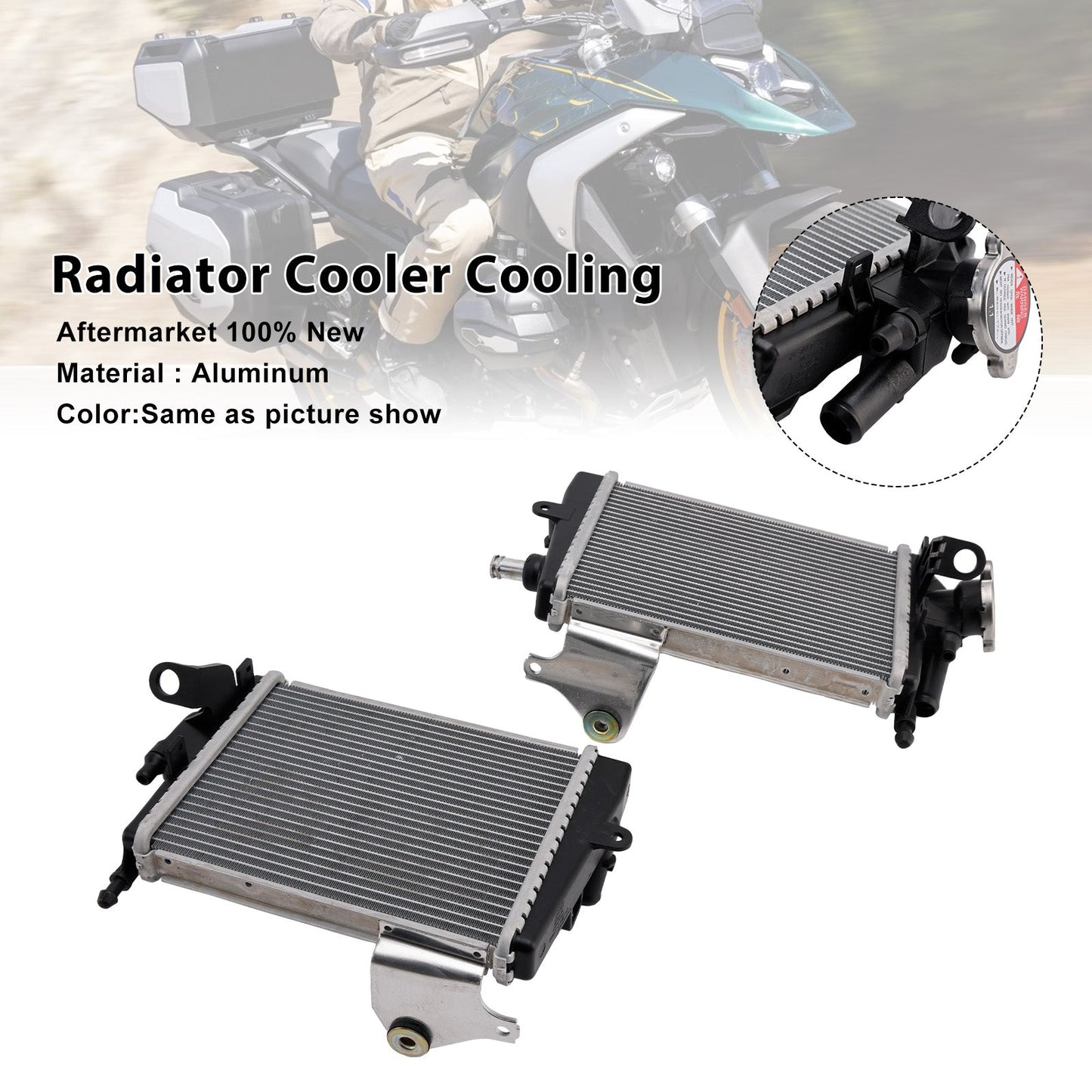 Radiatore di raffreddamento del motore BMW R1300GS 2024-2025