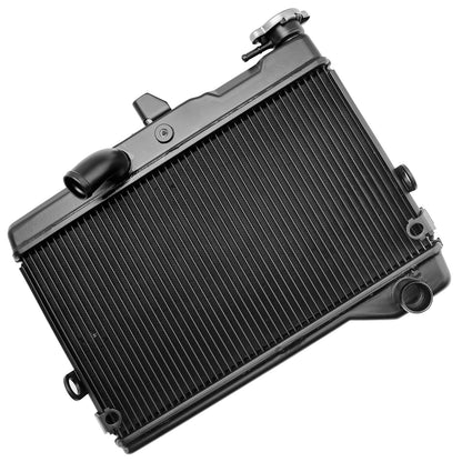 Radiatore di raffreddamento del motore Yamaha Tenere 700 XTZ700 2019-2024