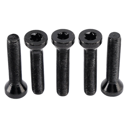 Kit bulloni ruota posteriore per BMW R 12 G/S KR2 / R 12 nineT KR1 - 36317668389