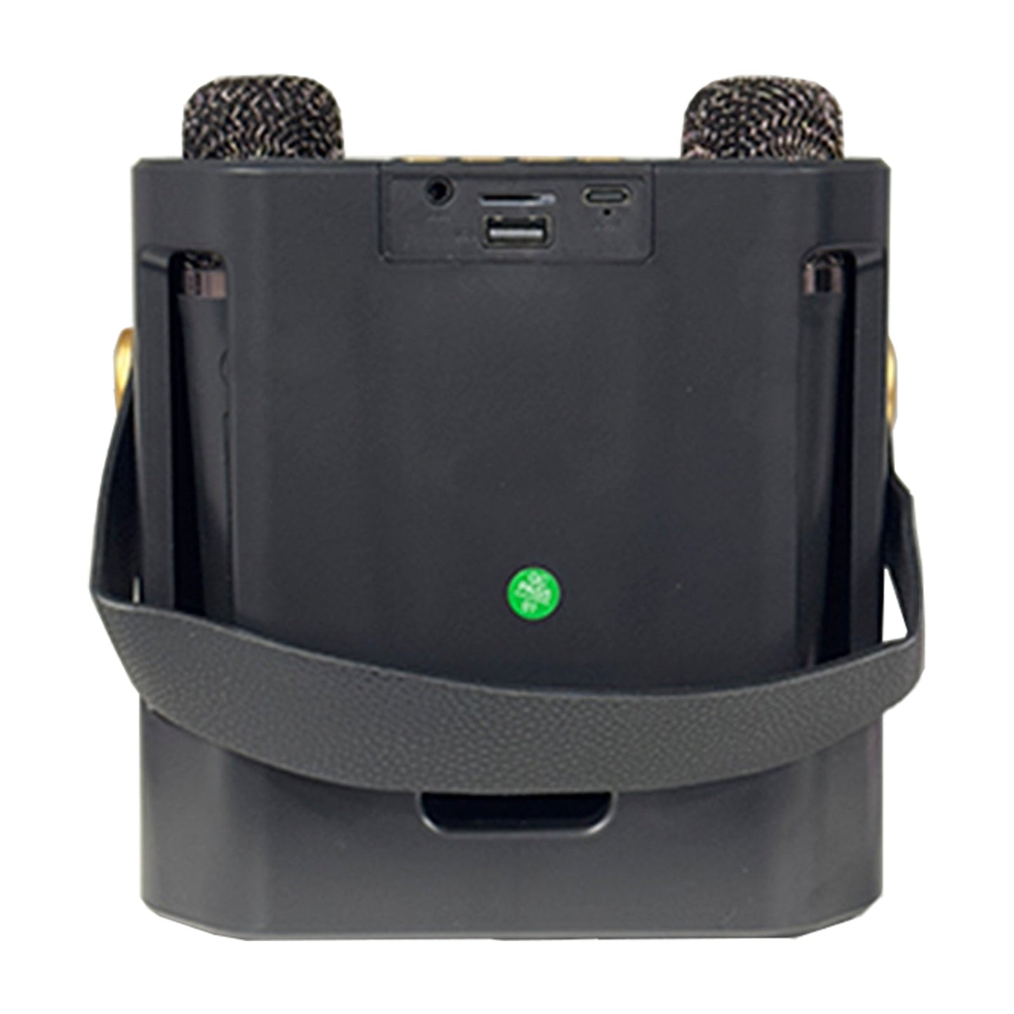 Altoparlante Bluetooth wireless con doppio microfono, altoparlante portatile per karaoke domestico
