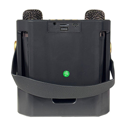 Altoparlante Bluetooth wireless con doppio microfono, altoparlante portatile per karaoke domestico