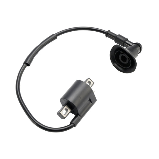 CDI BOX Accensione adatta per Polaris ATV PREDATOR 50 90 Can-Am ATV Mini DS 50 90