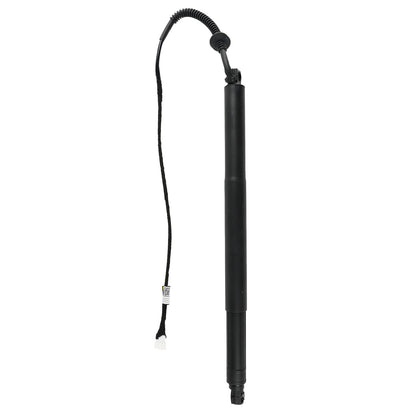 Supporto di sollevamento elettrico del portellone posteriore destro BMW X6 F16 SUV xDrive 30d 2014-2019 2993ccm 258HP 190KW (Diesel) 51247318652