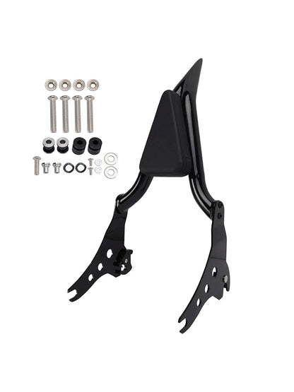 Schienale Sissy Bar passeggero FXBBS 114 2021-2024