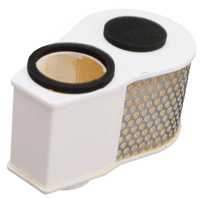 Filtro aria per Yamaha XVZ1300A Royal Star 1996 - 2001