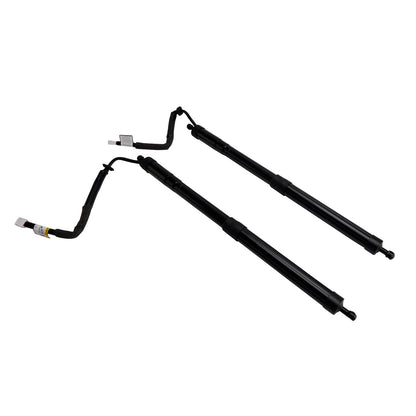 Supporto di sollevamento per portellone elettrico posteriore LEXUS RX RX350L RX450HL 2 pezzi 2018-2022 6892048061 6892048060