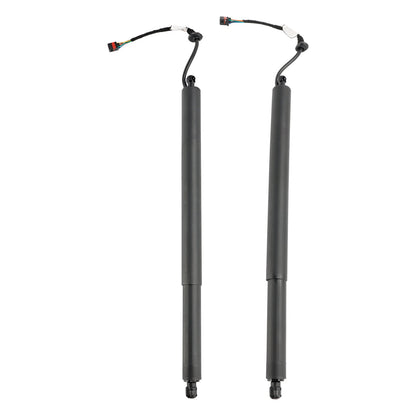 Supporto di sollevamento per portelloni elettrici Hyundai Palisade 2 pezzi 2020-2022 81831-S8100