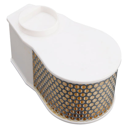 Filtro aria per Yamaha XVZ1300A Royal Star 1996 - 2001