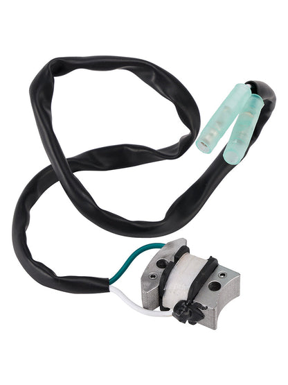 GRUPPO GENERATORE DI IMPULSI PER CARRELLO DA GOLF A BENZINA YAMAHA G1A G3A J10-85580-20-00