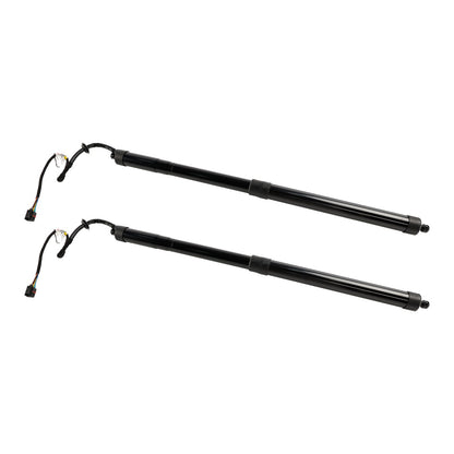 Land Rover Range Rover Sport L320 2010-2013 2010-2013Range Rover Sport L320 2 pezzi ammortizzatore a gas portellone elettrico LR051443