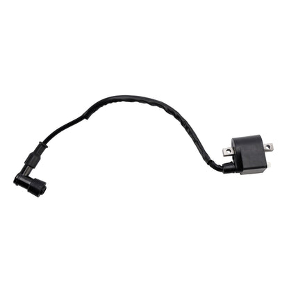 Scatola CDI Accensione adatta per Suzuki TS50 TS50X 1991/1993-1995 LT50 1990/1999-2005