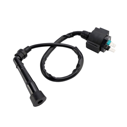 Scatola CDI Accensione adatta per Honda CA125 Rebel SMC Barossa RAM 300 CAPTAIN 300