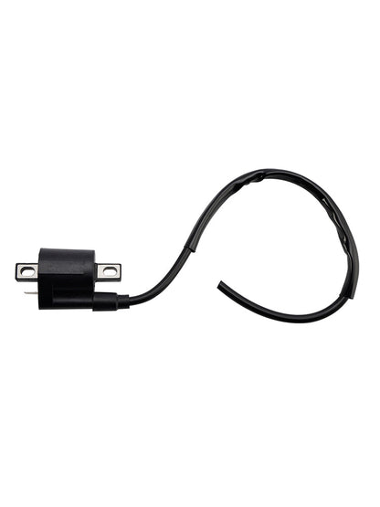 Scatola CDI con accensione adatta per Suzuki LT-F160 QuadRunner 1990-2007 DRZ400 2000-2004