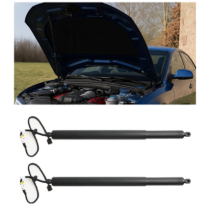 LR074798 Per 2015-2019 LAND ROVER DISCOVERY SPORT L550 Puntone portellone elettrico 2 pezzi