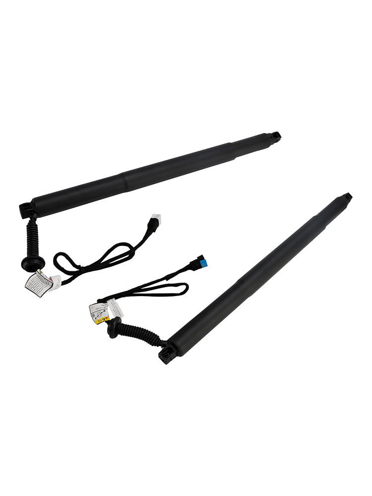 Supporto di sollevamento elettrico per portellone posteriore 2 pezzi 51247434043 51247434044 per BMW X6 F16 SUV 2014-2019 M 50d 2993ccm 381HP 280KW (Diesel)