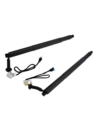 Supporto di sollevamento elettrico per portellone posteriore 2 pezzi 51247434043 51247434044 per BMW X6 F16 SUV 2014-2019 M 50d 2993ccm 381HP 280KW (Diesel)