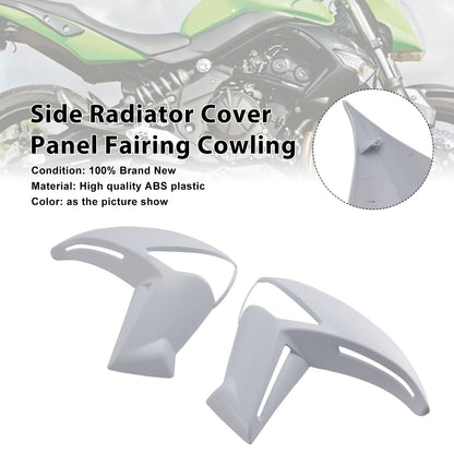 Carenatura del pannello di copertura del radiatore laterale ER-6N KAWASAKI ER6N 2009-2011