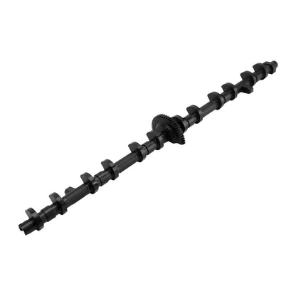 BMW E70 X5 xDrive30i Cabrio 2009-2010, albero a camme eccentrico Valvetronic 11377515868