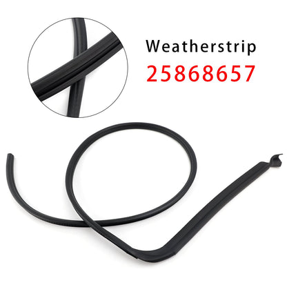 Guarnizione porta sinistra Hummer H2 2003-2009 25868657