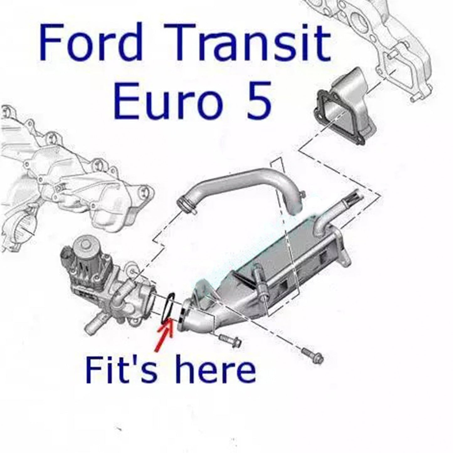 Piastra di blocco valvola EGR per Ford Transit Custom Euro5 e 6 2.2L 2.4 TDCi dal 2011 in poi