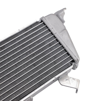 Raffreddamento del radiatore per BMW M1000R 2023-2025